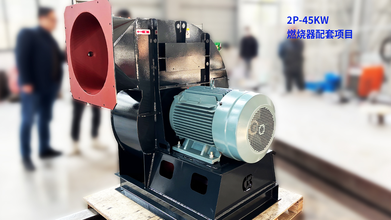 2P-45KW 燃燒器配套項目